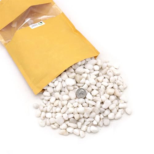 Premium Pebbles White Rocks for Plants. White Decorative Polished Pebbles. 3/8 Inch – 10lbs for Plants,Garden, Landscaping, Succulents, pots, Plants (XSM (0.375 Inch), White - Lightly Polished, 10)