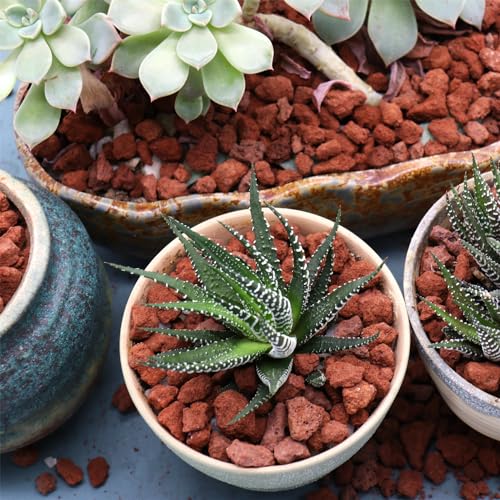 Volcanic Rock for Plants. Red Color Lava Rock. 1/5 Inch - 10 lbs for Potting Soil, Succulents, Pots, Plants, Gardening, Indoor, Crafting, Vase Fillers