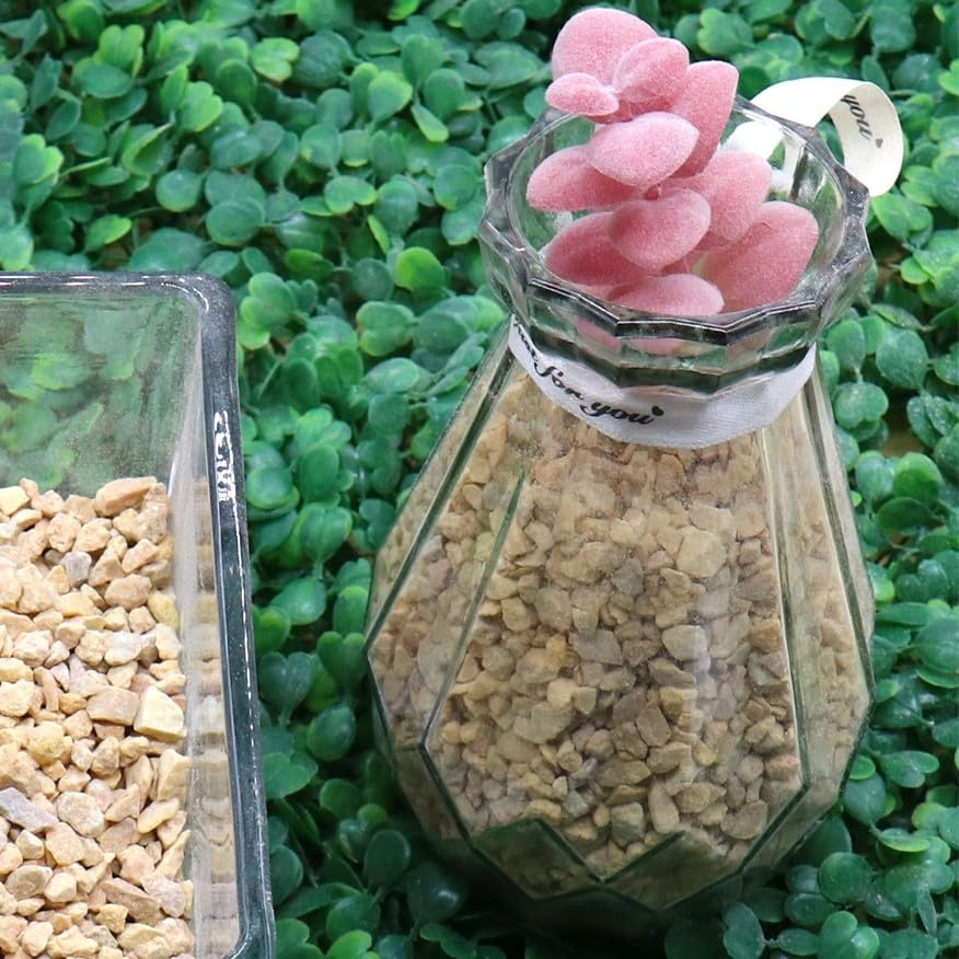 Premium Pebbles Coarse Sand. Light Brown Color. 1/8 Inch 2 lbs. for Potting Soil, Succulents, Pots, Plants, Gardening, Indoor, Crafting, Vase Fillers (X-Mini, COARSE Sand - Light Brown, 2)