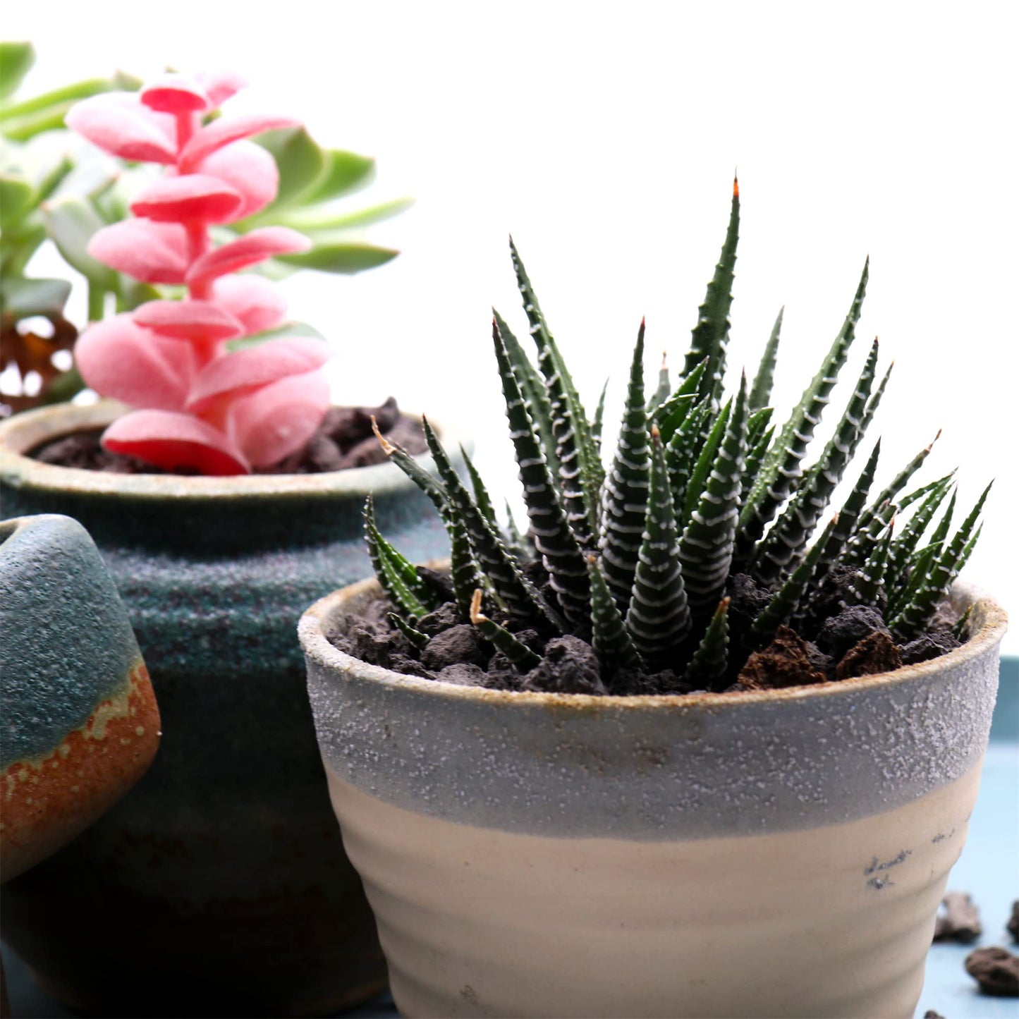 Premium Pebbles Volcanic Rock for Plants. Black Lava Rock. 1/5 Inch - 2 lbs for Potting Soil, Succulents, Pots, Plants