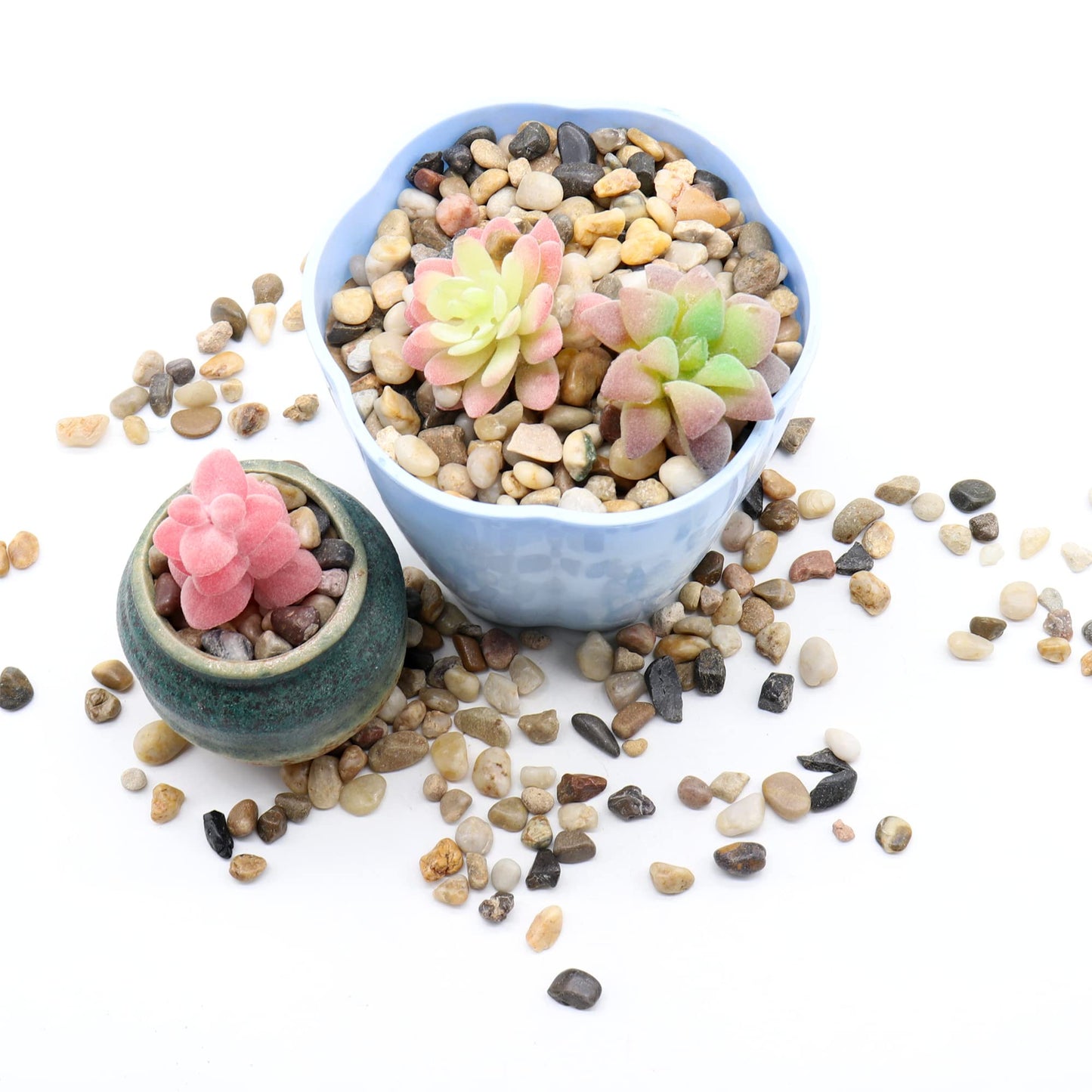 Premium Pebbles Rocks for Plants. Mixed Color Decorative Pebbles. 1/5 Inch 2 lbs. for Garden, Landscaping, Indoor, Vase fillers, Crafting, Succulents, pots, Plants (Mini (0.2 Inch), Mixed Color, 2)