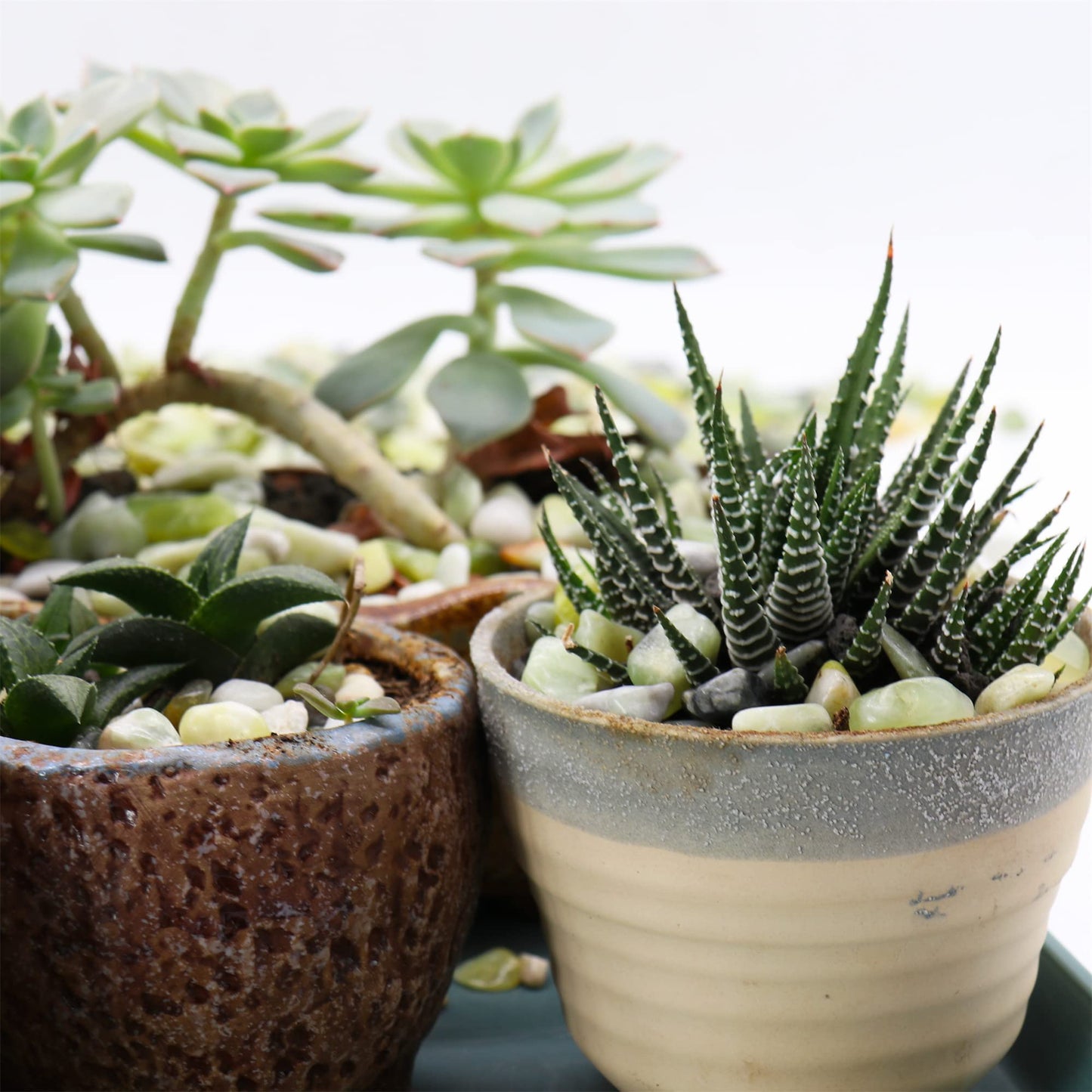 Premium Pebbles Rocks for Plants. Green Jade Decorative Polished Pebbles. 3/8 Inch – 10 lbs for Plants, Garden, Landscaping, Crafting, Succulents, pots (XSM (0.375 Inch), Green Jade - Polished, 10)