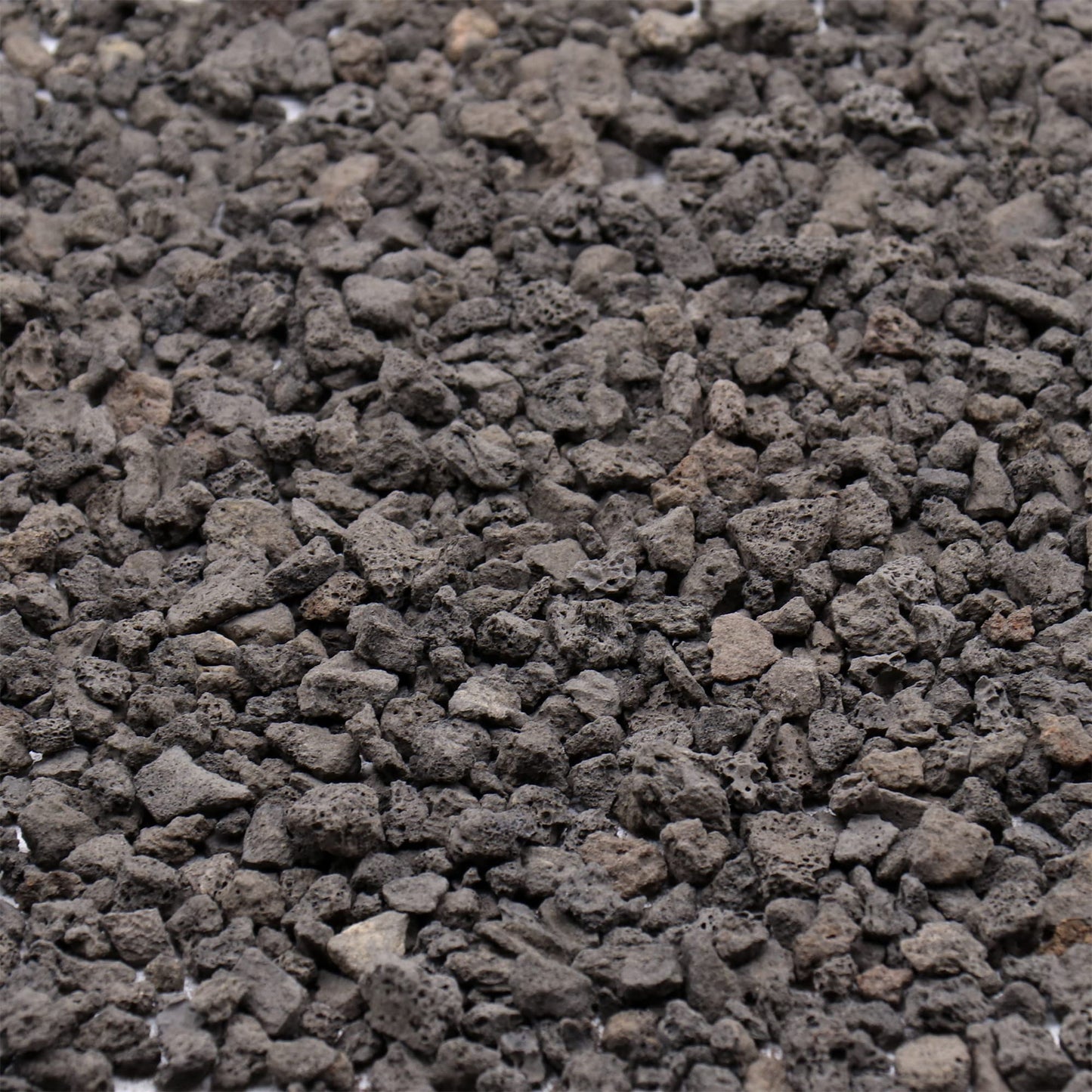 Premium Pebbles Volcanic Rock for Plants. Black Lava Rock. 1/5 Inch - 2 lbs for Potting Soil, Succulents, Pots, Plants