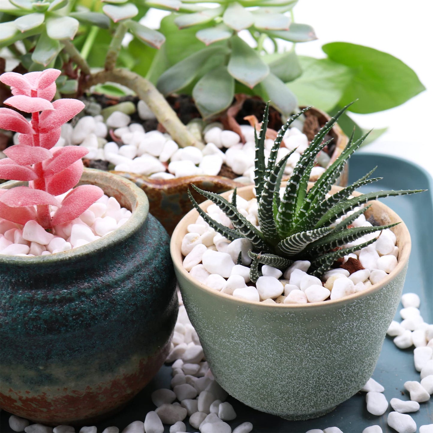 Premium Pebbles White Rocks. White Decorative Pebbles. 1/5 Inch – 5 lbs for Garden, Landscaping, Indoor, Vase fillers, Crafting, Succulents, pots, Plants (Mini (0.2 Inch), White - Tumbled, 5)