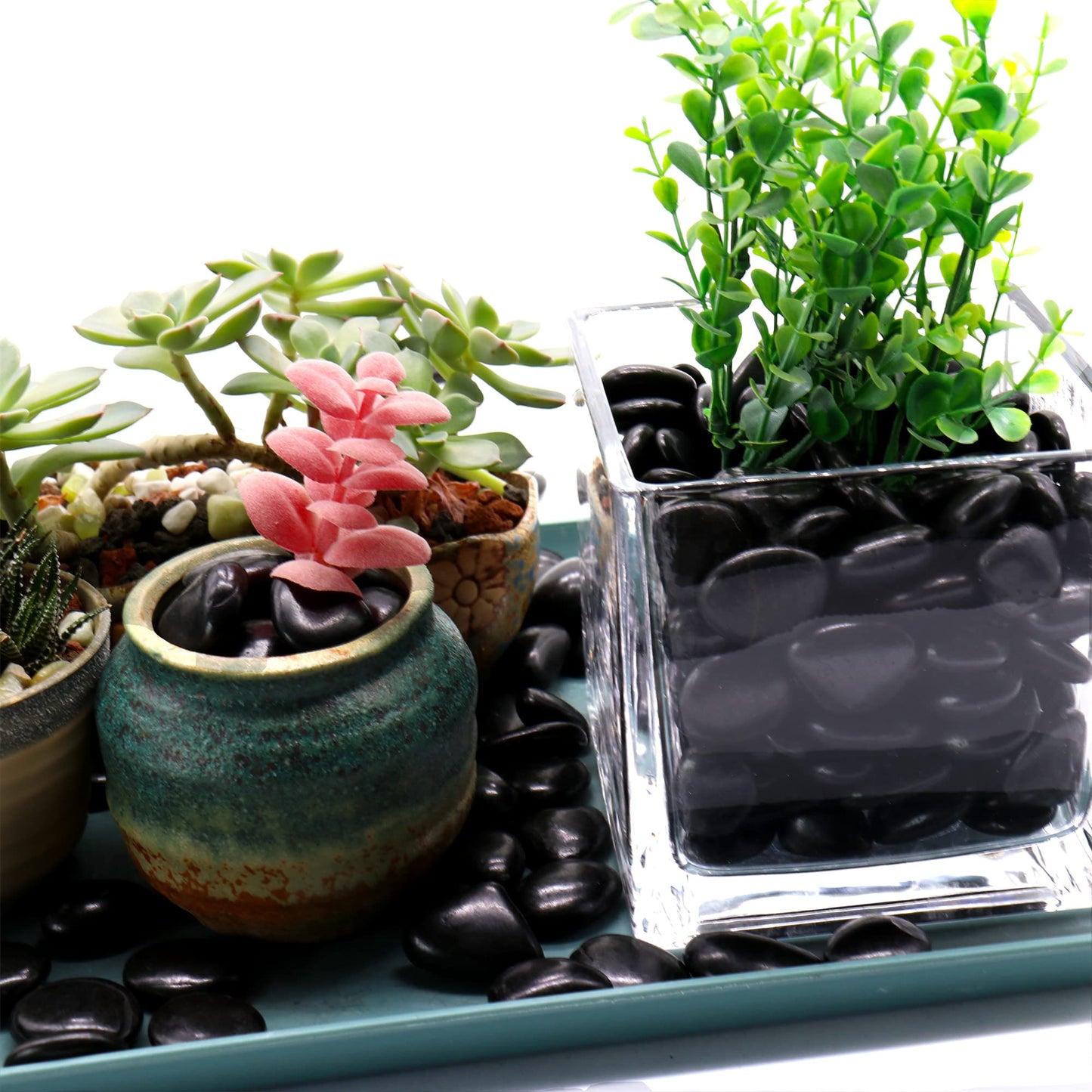 Premium Pebbles Black Rocks for Plants. Black Decorative Polished Pebbles. 1/2 to 1 Inch – 10 lbs. for Plants, Garden, Landscaping, Succulents, pots (SM (0.5 to 1 Inch), Black -Polished, 10)