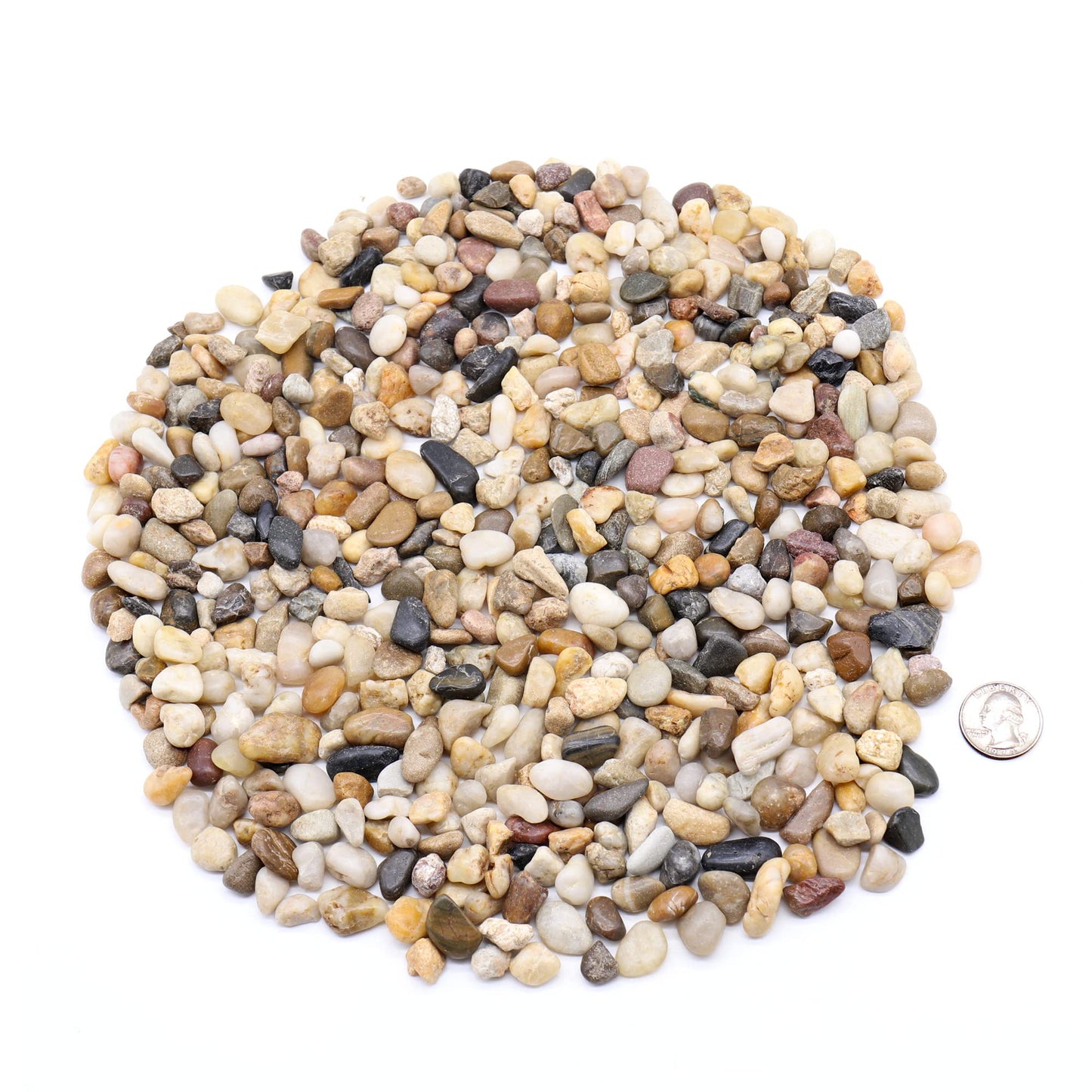 Premium Pebbles Rocks for Plants. Mixed Color Decorative Pebbles. 1/5 Inch 2 lbs. for Garden, Landscaping, Indoor, Vase fillers, Crafting, Succulents, pots, Plants (Mini (0.2 Inch), Mixed Color, 2)