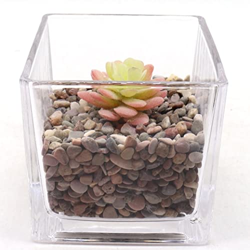 Premium Pebbles Rocks for Plants. Mixed Black/Earth Tones Color Pebbles. 1/5 Inch – 10 lbs for Garden, Crafting, Succulents, pots, Plants (Mini (0.2 Inch), Mixed Color - Black, 10)