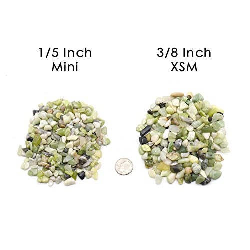 Premium Pebbles Rocks for Plants. Green Jade Decorative Polished Pebbles. 1/5 Inch – 2 lbs for Garden, Vase fillers, Crafting, Succulents, pots, Plants (Mini (0.2 Inch), Green Jade - Polished, 2)