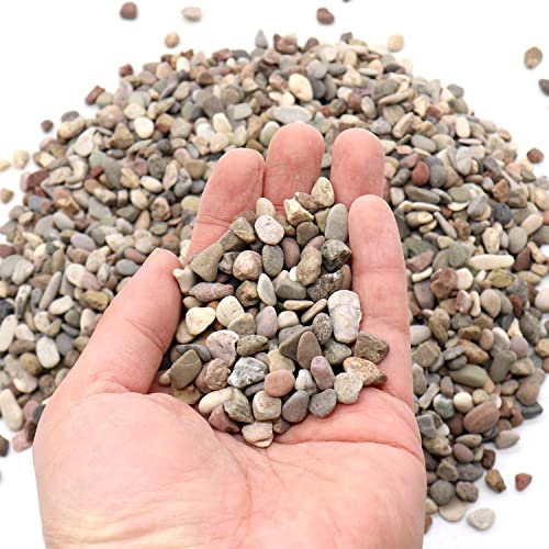 Premium Pebbles Rocks for Plants. Mixed Black/Earth Tones Color Pebbles. 1/5 Inch – 10 lbs for Garden, Crafting, Succulents, pots, Plants (Mini (0.2 Inch), Mixed Color - Black, 10)