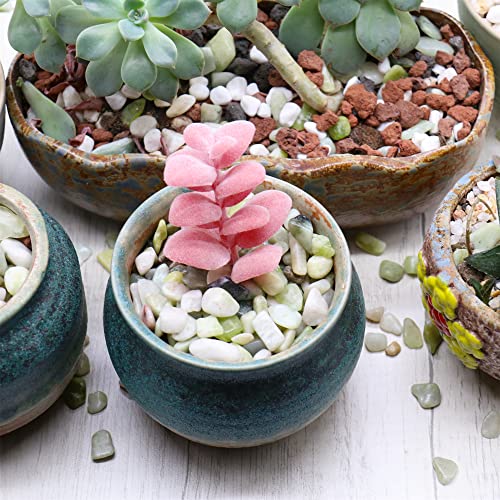 pink pebbles succulent Premium Pebbles Rocks for Plants. Green Jade Decorative Polished Pebbl