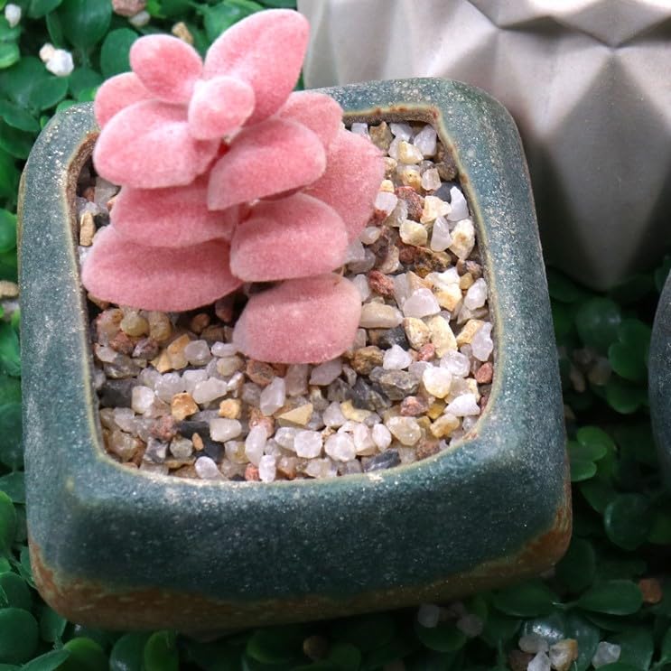 pebbles for succulent pots Premium Pebbles Coarse Sand. Golden Color. 1/8 Inch 10 lbs. for Potting Soil, Succulents, Pots, Plants, Gardening, Indoor, Crafting, Vase Fillers,