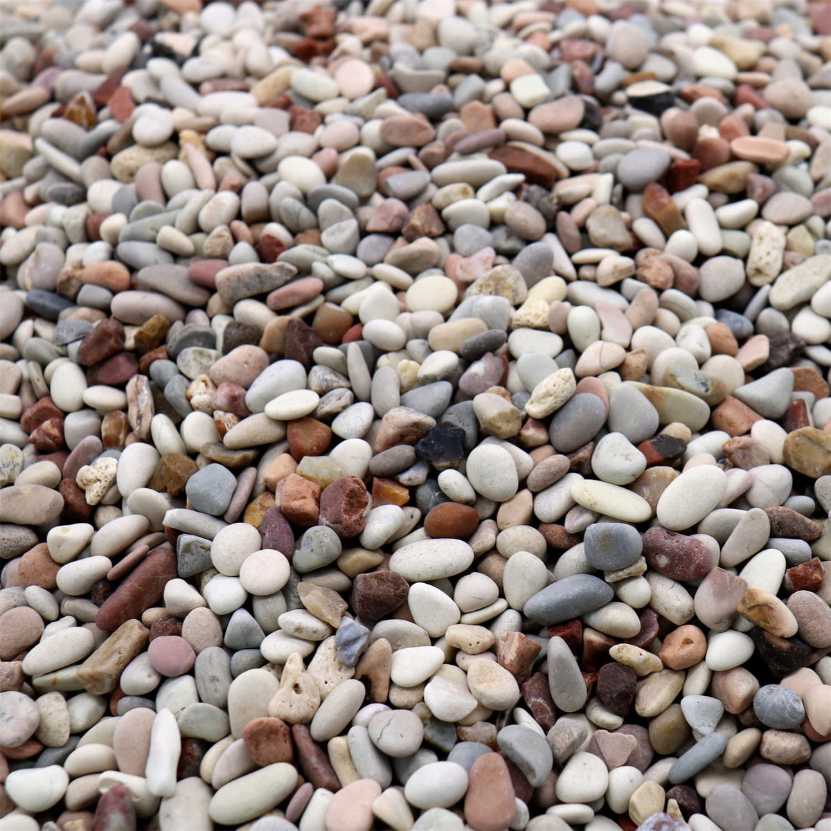 Disk Pebbles Collections – Premium Pebbles