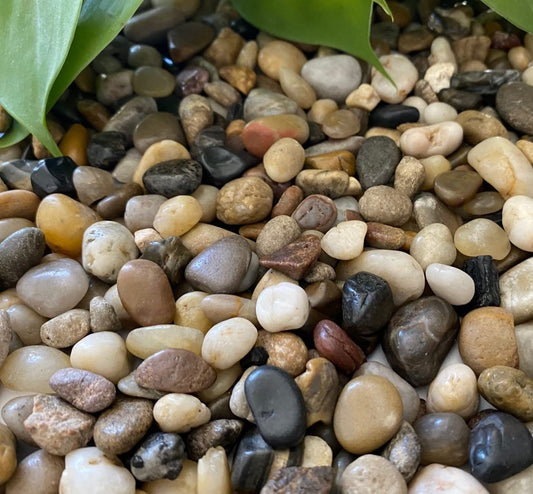 Premium Pebbles Rocks for Plants. Mixed Colors Decorative Polished Pebbles. 3/8 Inch – 10 lbs for Plants, Garden, Landscaping, Succulents, pots, Plants (XSM (0.375 Inch), Mixed Color - Polished, 10)
