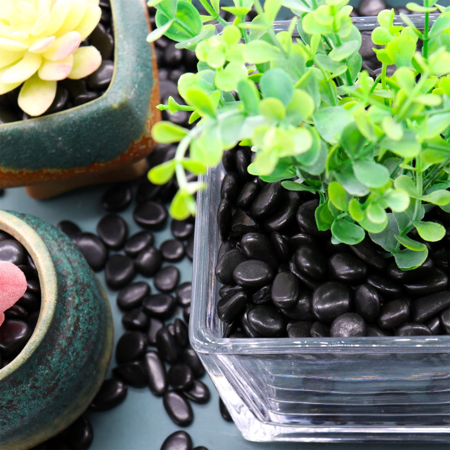 Premium Pebbles Black Rocks for Plants. Black Decorative Polished Pebbles. 3/8 Inch – 2 lbs for Garden, Indoor, Vase fillers, Crafting, Succulents, pots, Plants (XSM (0.375 Inch), Black -Polished, 2)