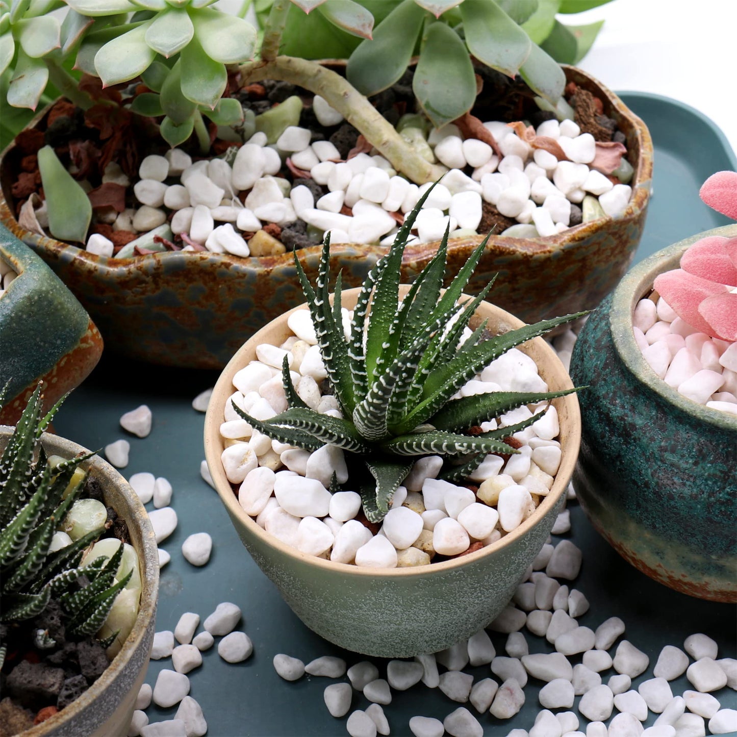 Premium Pebbles White Rocks. White Decorative Pebbles. 1/5 Inch – 5 lbs for Garden, Landscaping, Indoor, Vase fillers, Crafting, Succulents, pots, Plants (Mini (0.2 Inch), White - Tumbled, 5)