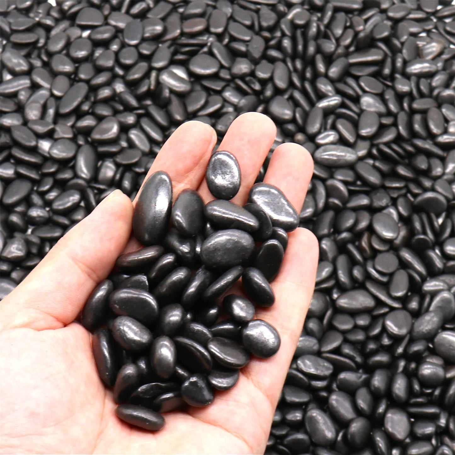 Premium Pebbles Black Rocks for Plants. Black Decorative Polished Pebbles. 3/8 Inch – 2 lbs for Garden, Indoor, Vase fillers, Crafting, Succulents, pots, Plants (XSM (0.375 Inch), Black -Polished, 2)