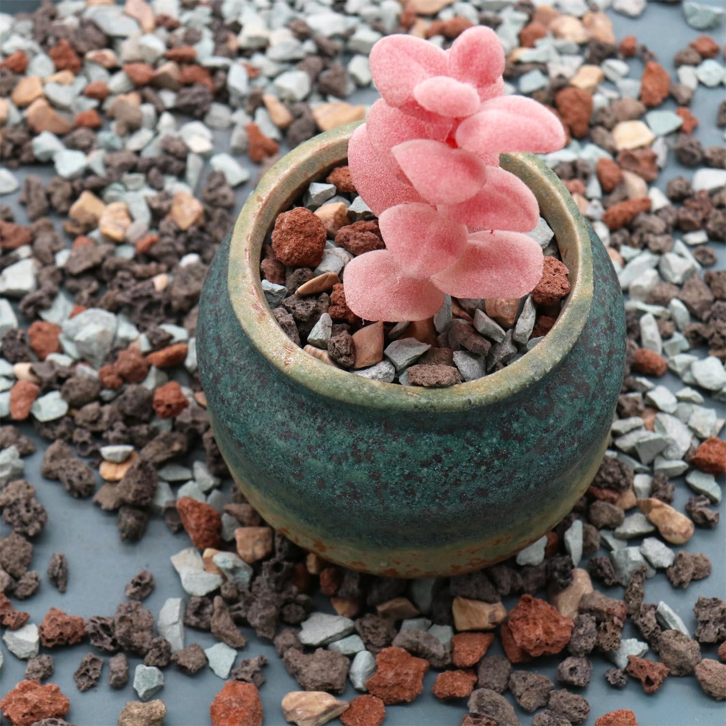 lava rock for potted plants Volcanic Rock for Plants. Gritty Mix. Mixed Color Lava Rock. 1/5 Inch – Premium Pebbles