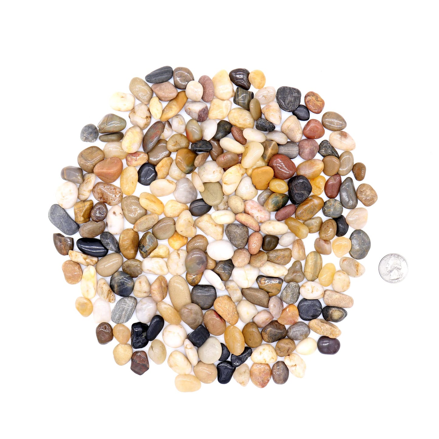 large pebbles for plant pots Premium Pebbles Rocks for Plants. Mixed Colors Decorative Polished Peb
