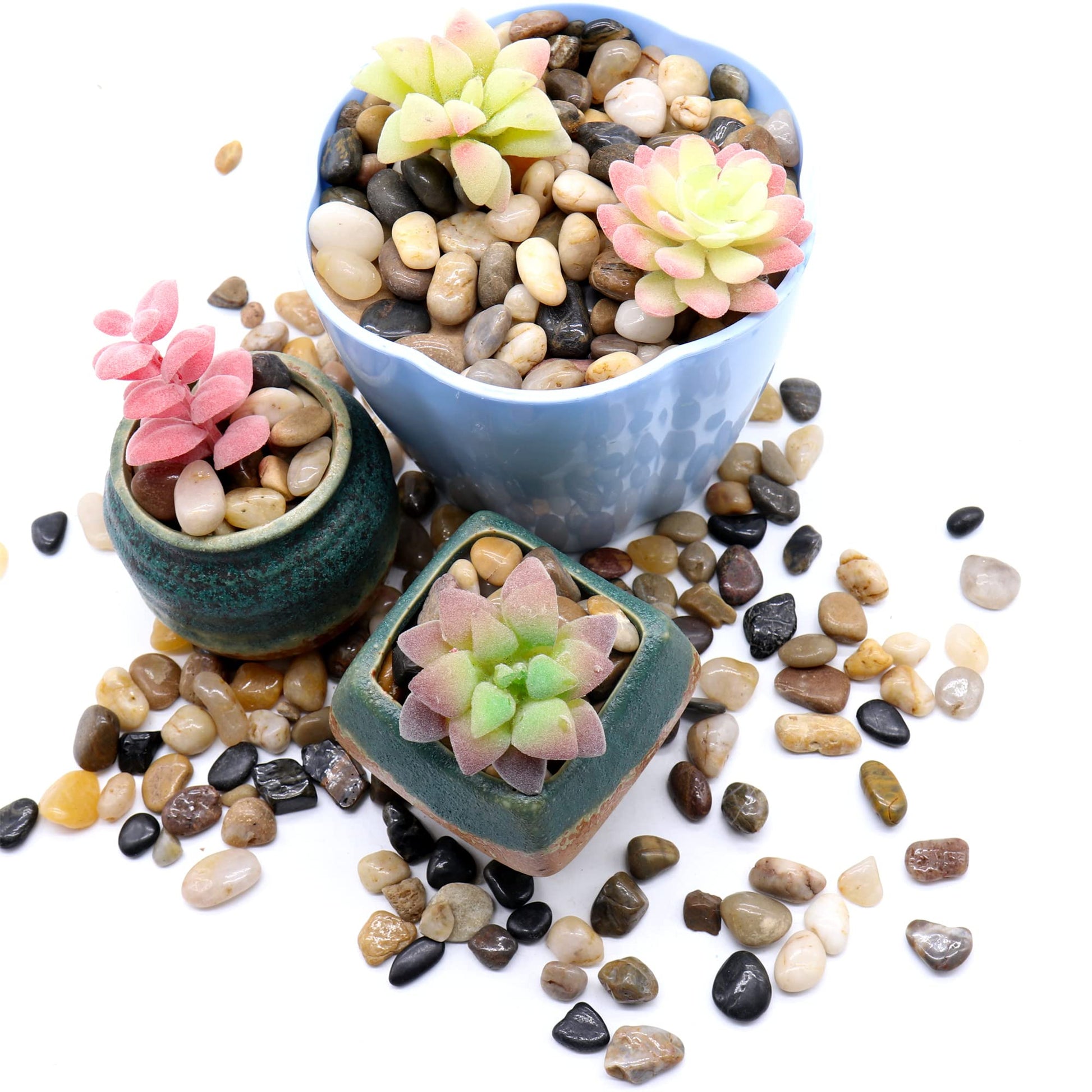 small stones for succulent pots Premium Pebbles Rocks for Plants. Mixed Colors Decorative Polished Peb