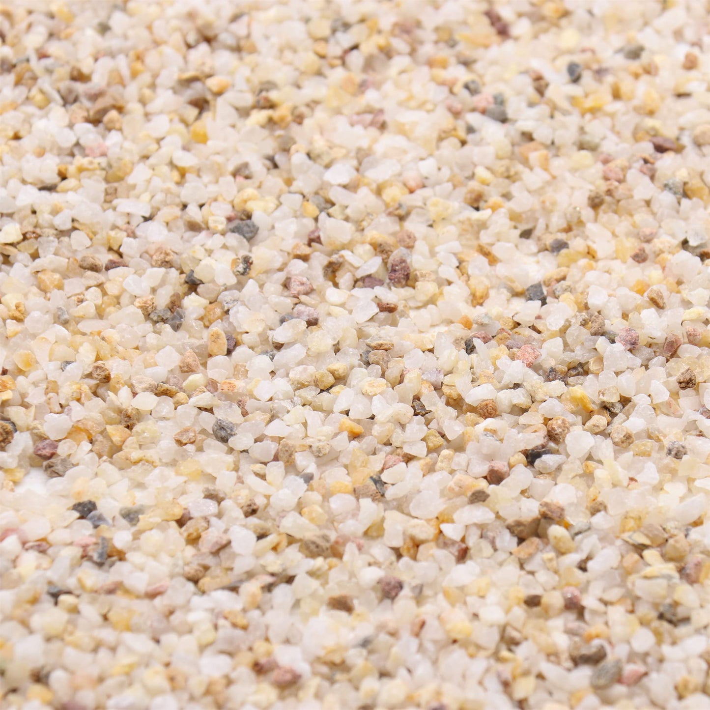 Premium Pebbles Coarse Sand. Golden Color. 1/8 Inch 2 lbs. for Potting Soil, Succulents, Pots, Plants, Gardening, Indoor, Crafting, Vase Fillers (X-Mini (0.125 Inch), COARSE Sand - Golden, 2)