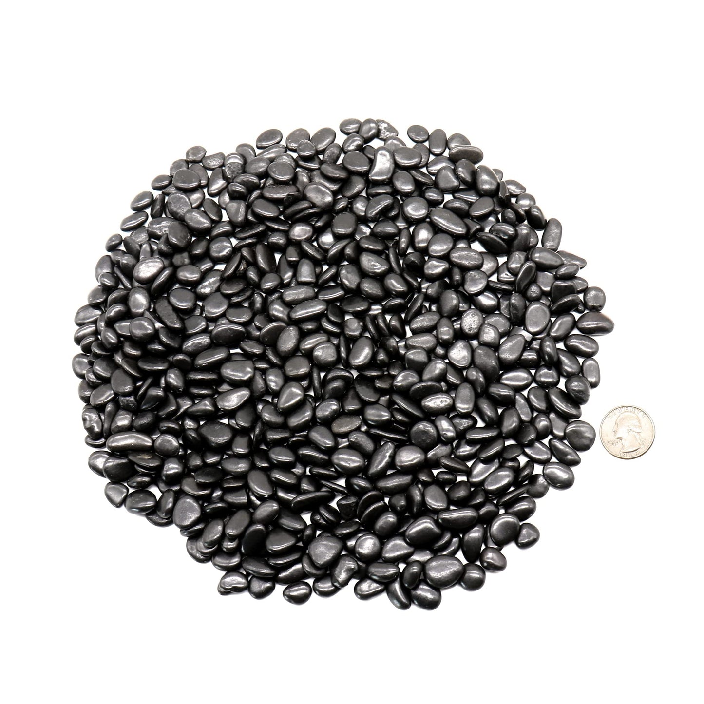 Premium Pebbles Black Rocks for Plants. Black Decorative Polished Pebbles. 1/5 Inch – 10 lbs. for Plants, Garden, Landscaping, Vase fillers, Succulents, pots (Mini (0.2 Inch), Black -Polished, 10)